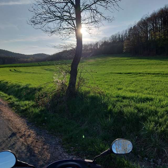 Pronósticos del tiempo con hermosas fotos de jmayr