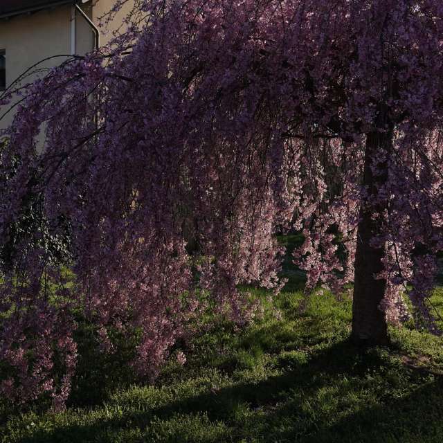 Fotos Rua. Previsões do tempo com lindas fotos de Vasek325 em Praha 4