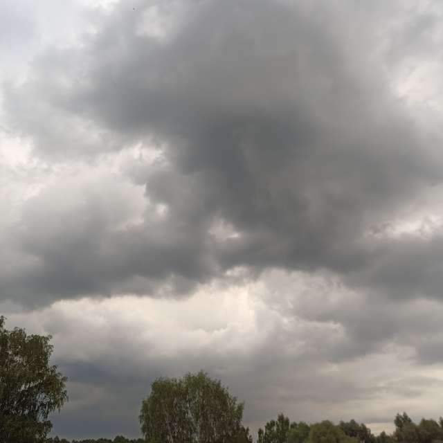 Grassy. Weather forecasts with beautiful photos by Amanda_and_Valdemar_Che Photos in Izmaylovo District