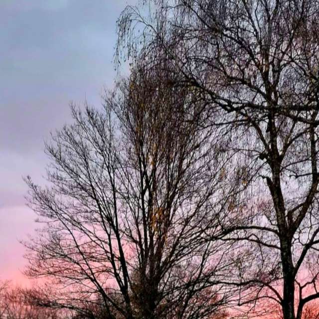 House. Weather forecasts with beautiful photos by Seni Photos in Velbert