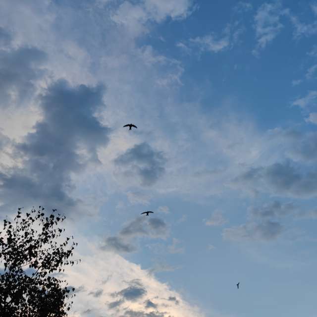 Alexxabrの美しい写真による天気予報