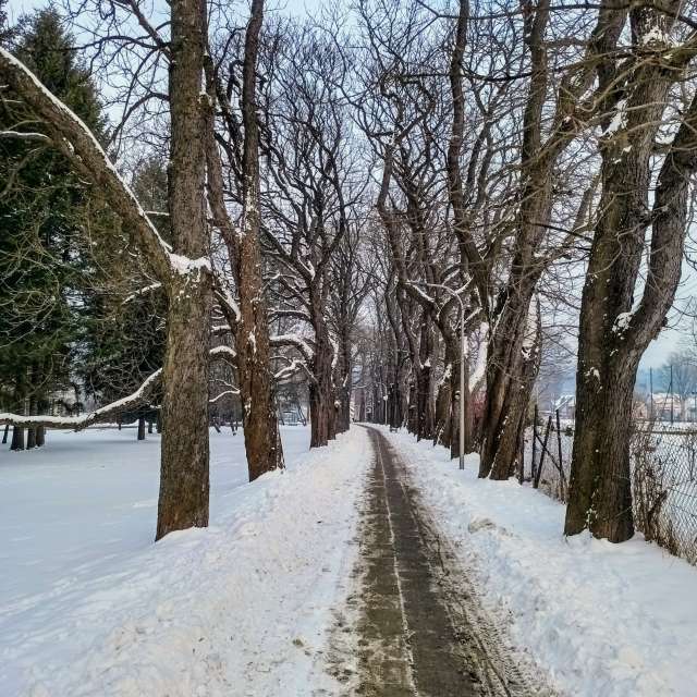 Wettervorhersagen mit schönen Fotos von Kripo