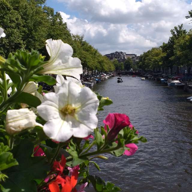 Table. Weather forecasts with beautiful photos by MAY70 Photos in Amsterdam