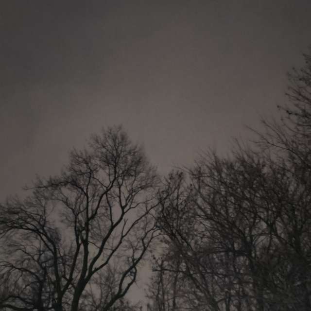 Pronósticos del tiempo con hermosas fotos de YanBog