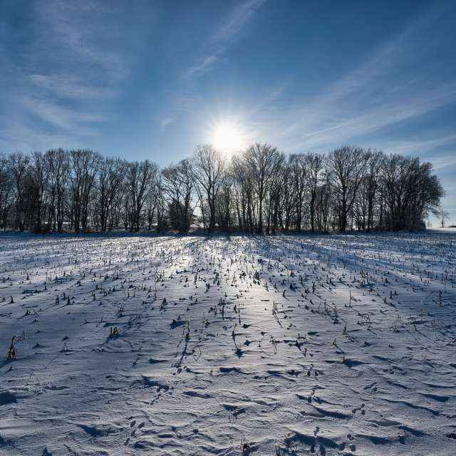 Прогнозы погоды с чудесными фотографиями, сделанными Dorfkind