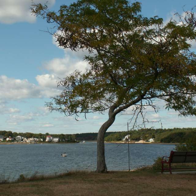 Fotos del Grande. Pronósticos del tiempo con hermosas fotos de Nancy-Bellavance en Cape Cod