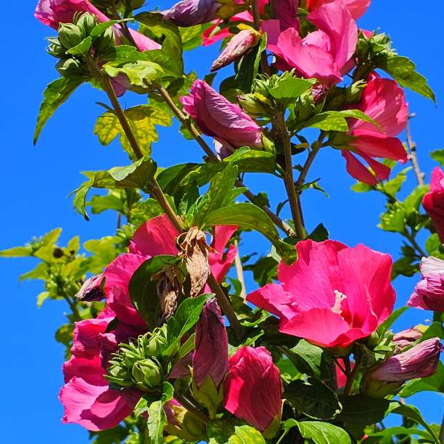 Clear. Weather forecasts with beautiful photos by Seni Photos in Velbert