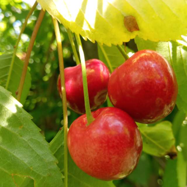 Weather Photos in World. Weather forecasts with beautiful photos by mikhai