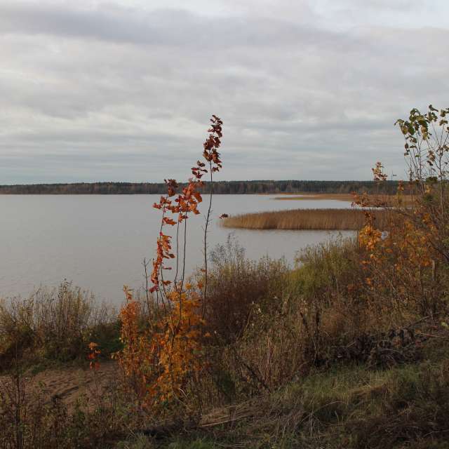 Weather forecasts with beautiful photos by urubu