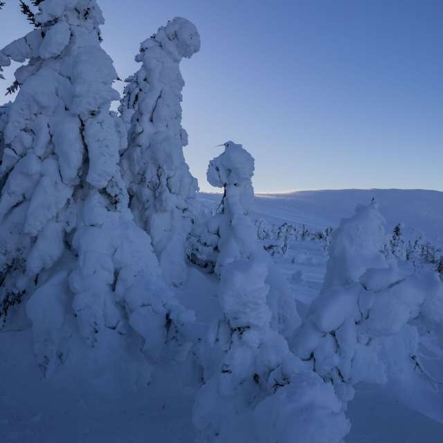 Фотографии Погоды в Мир. Прогнозы погоды с чудесными фотографиями, сделанными Nymph542