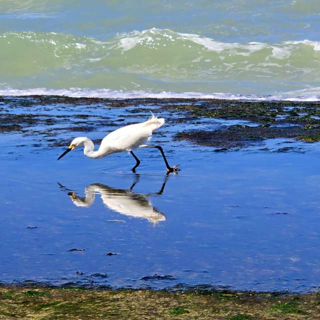 Fotos sobre el clima en Mundo. Pronósticos del tiempo con hermosas fotos de LeKoS