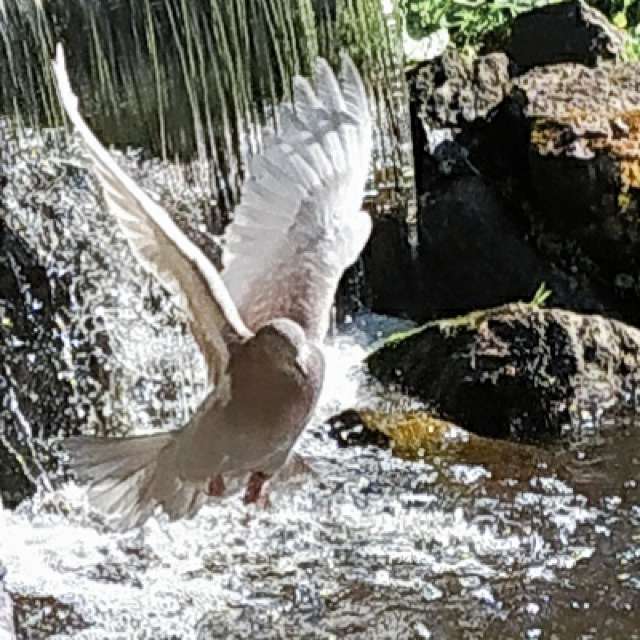 Weather forecasts with beautiful photos by Olgert