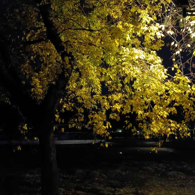 Fotos del Joven. Pronósticos del tiempo con hermosas fotos de YanBog en București