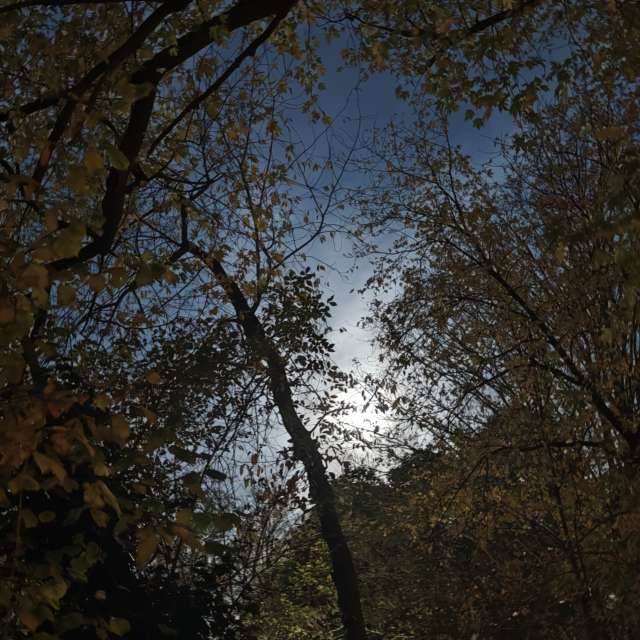 Previsões do tempo com lindas fotos de DJFuchs