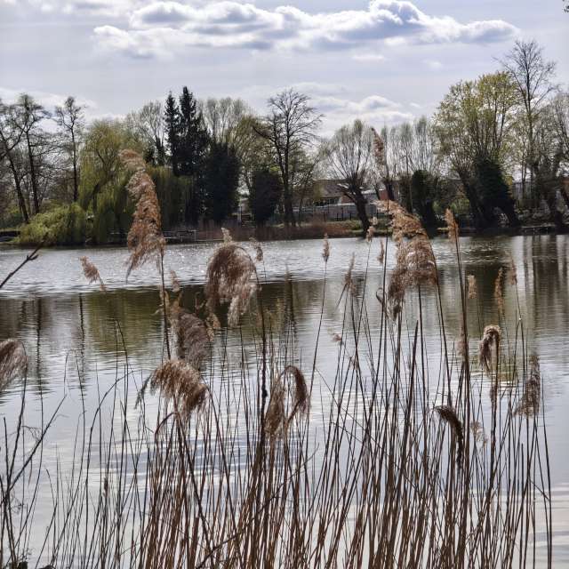 Wettervorhersagen mit schönen Fotos von dmolitor