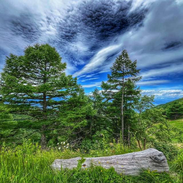 Hill. Weather forecasts with beautiful photos by Kasumisou Photos in 高峰高原