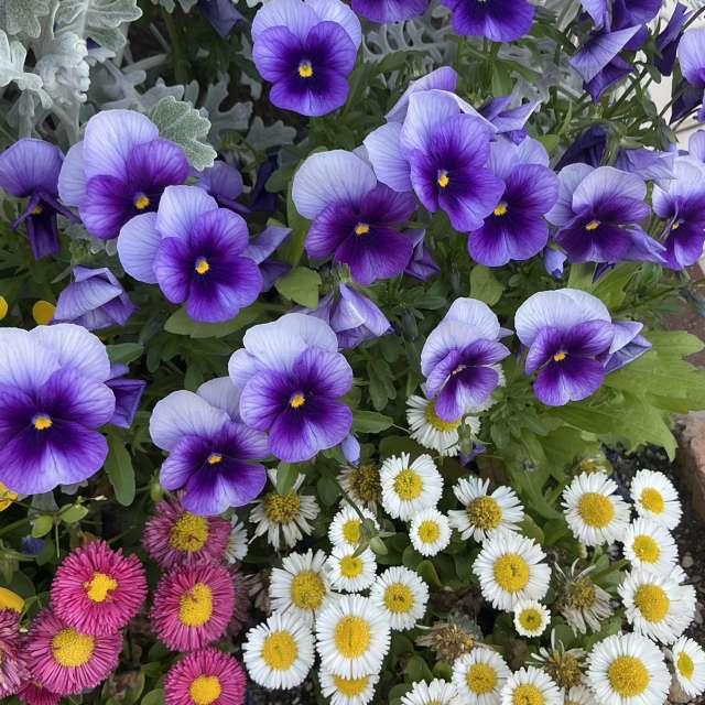 Fotos Contador. Previsões do tempo com lindas fotos de あさのジジ em Okayama