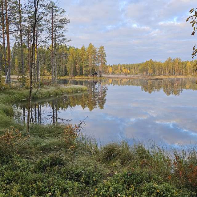 Previsões do tempo com lindas fotos de Piia
