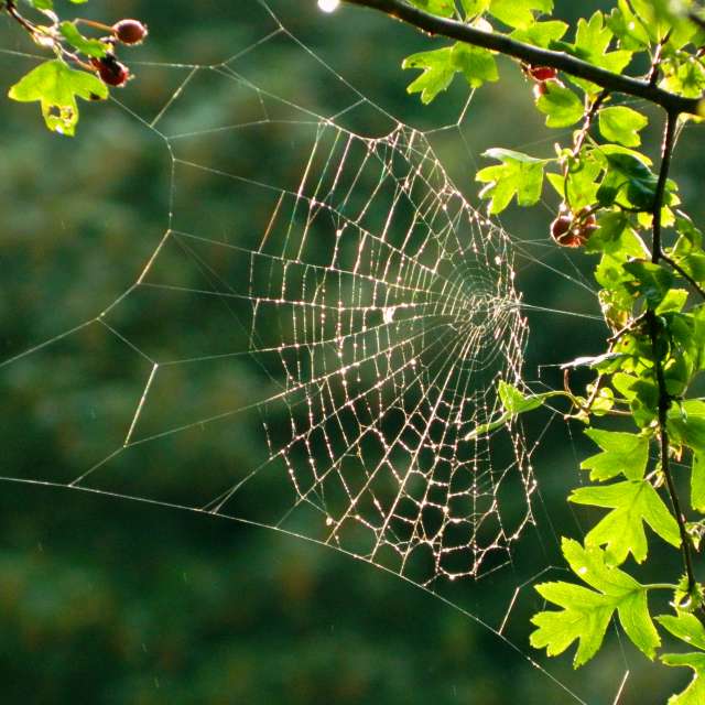 Hình ảnh Thời tiết ở Thế giới. Dự báo thời tiết với những bức ảnh đẹp của DarekCho