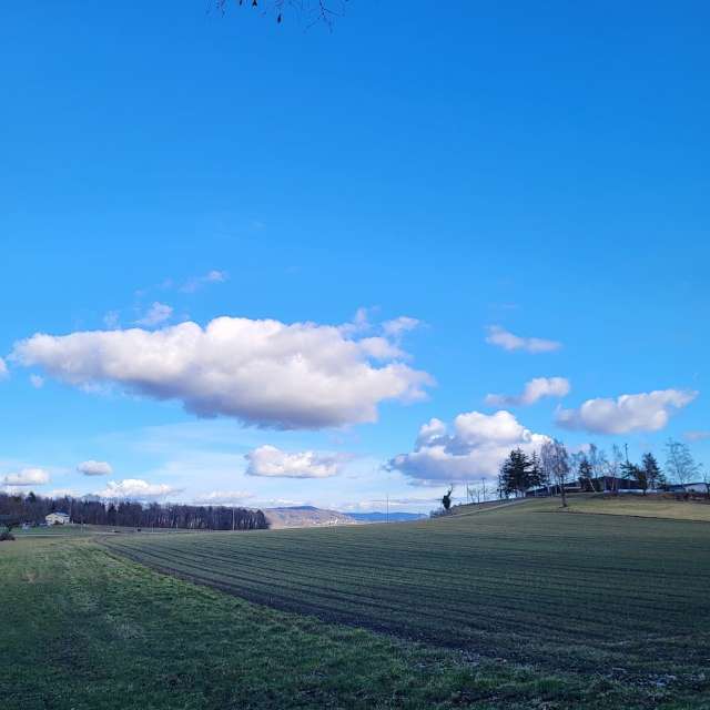 aida-khaldiの美しい写真による天気予報