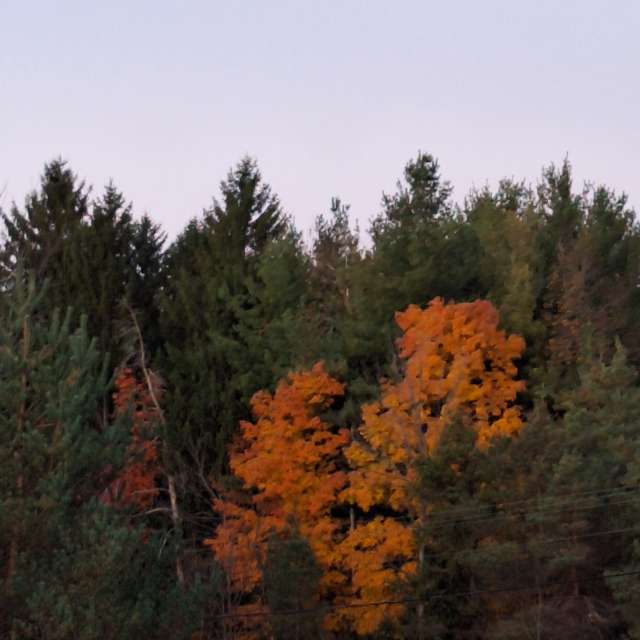 Field. Weather forecasts with beautiful photos by ccdn0630 Photos in Barrie