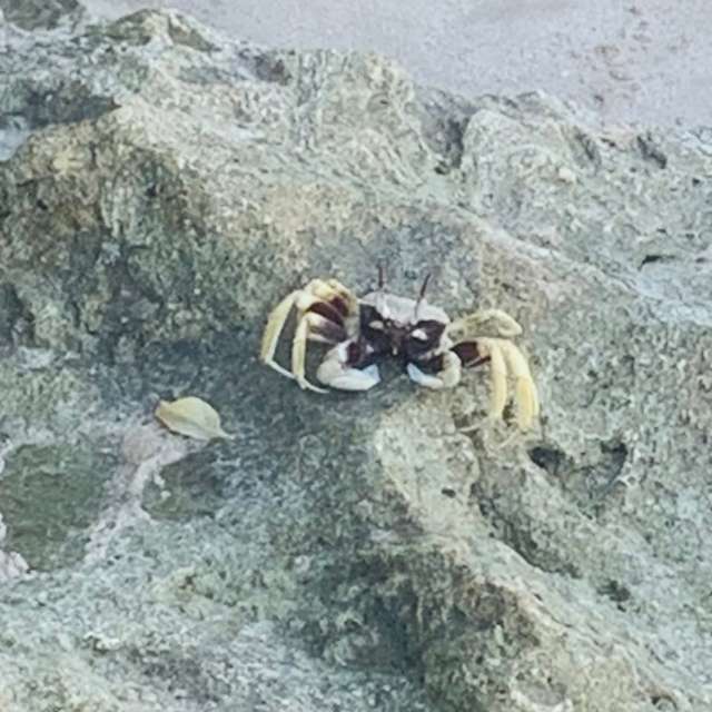 Prévisions météo avec de superbes photos de WelshAussie