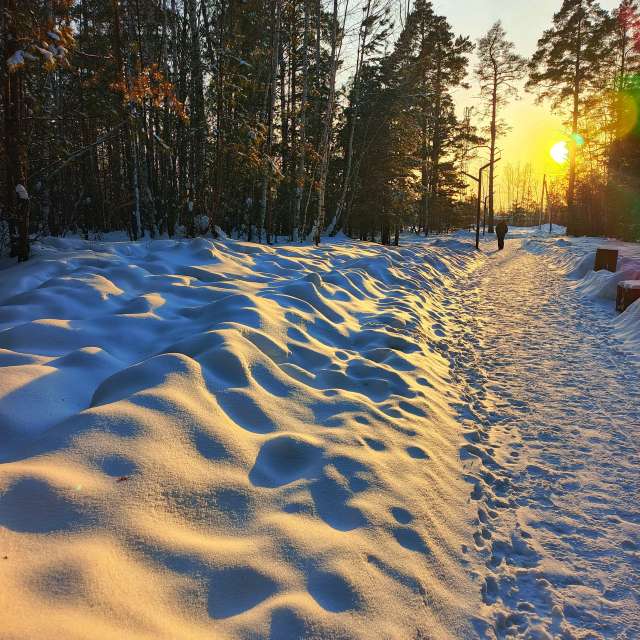 市场的天气照片. 天气预报，带ElenaMak精美的照片