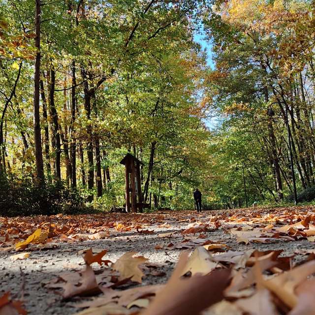 Weather forecasts with beautiful photos by Romek58