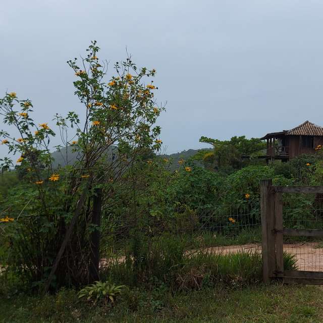 Wettervorhersagen mit schönen Fotos von catiams