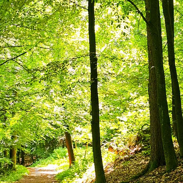 Bereich. Wettervorhersagen mit schönen Fotos von Seni Fotos Velbert