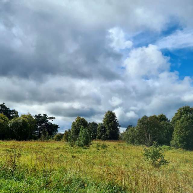 天气预报，带HelenR精美的照片