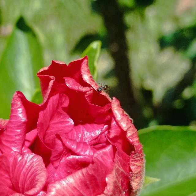 Прогнозы погоды с чудесными фотографиями, сделанными fernanda24h