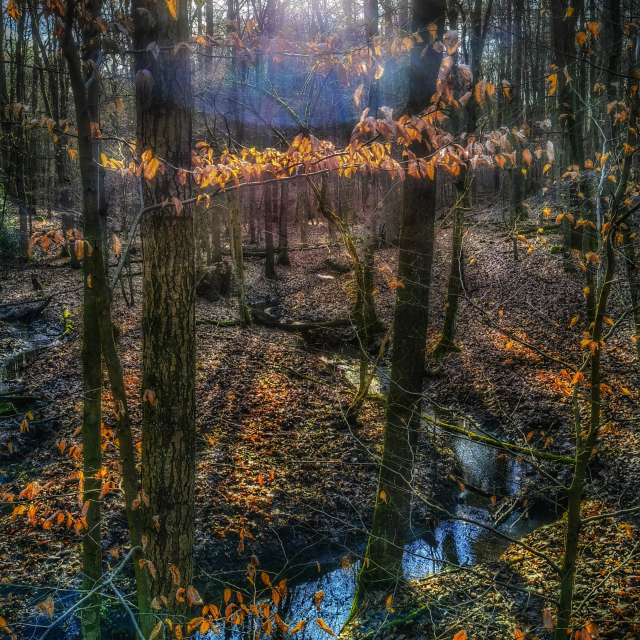 Weather forecasts with beautiful photos by Gweiland