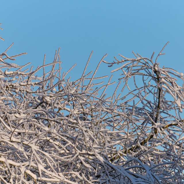 Прогнозы погоды с чудесными фотографиями, сделанными Aleh_Narushevich