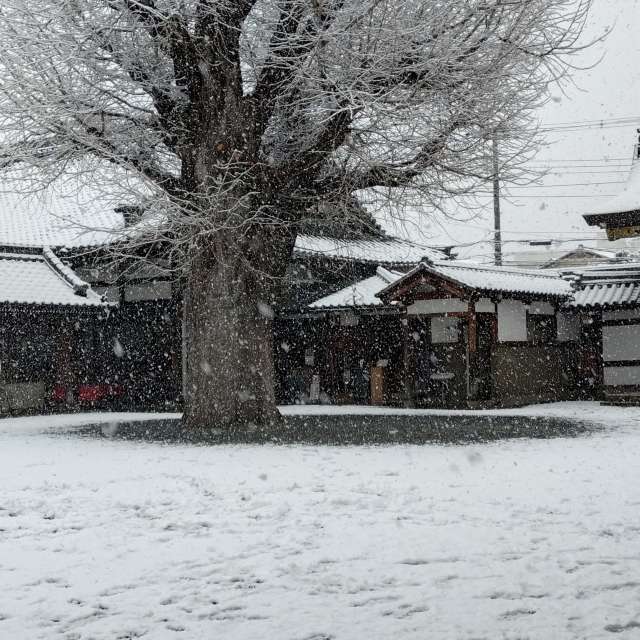 Прогнозы погоды с чудесными фотографиями, сделанными kon__miyuki