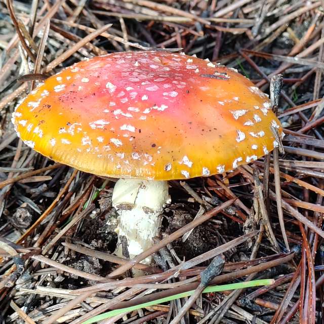 Weather forecasts with beautiful photos by Pcm407