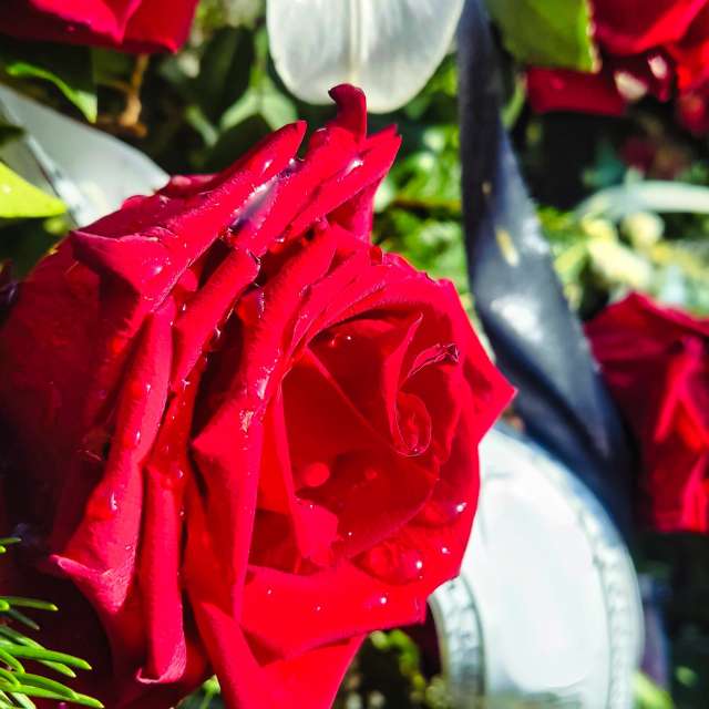 Weather forecasts with beautiful photos by VersusPoint