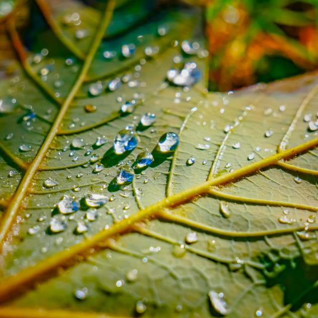Photos Pluie. Prévisions météo avec de superbes photos de Miloš_SK de Sereď