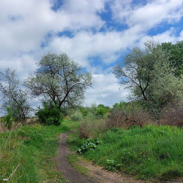 Motion. Weather forecasts with beautiful photos by Iryna Photos in Kharkiv
