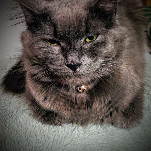 Pronósticos del tiempo con hermosas fotos de Lulu5523