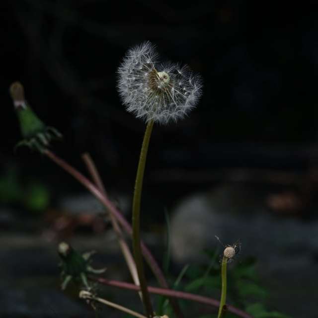 Fotos Clima. Previsões do tempo com lindas fotos de Vasek325 em Praha 4