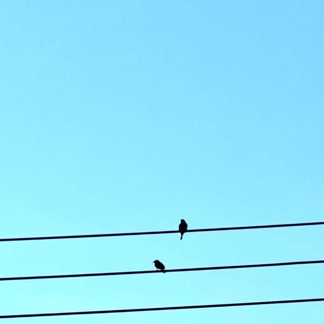 Wire. Weather forecasts with beautiful photos by Wen-ya Huang Photos in Kaohsiung City