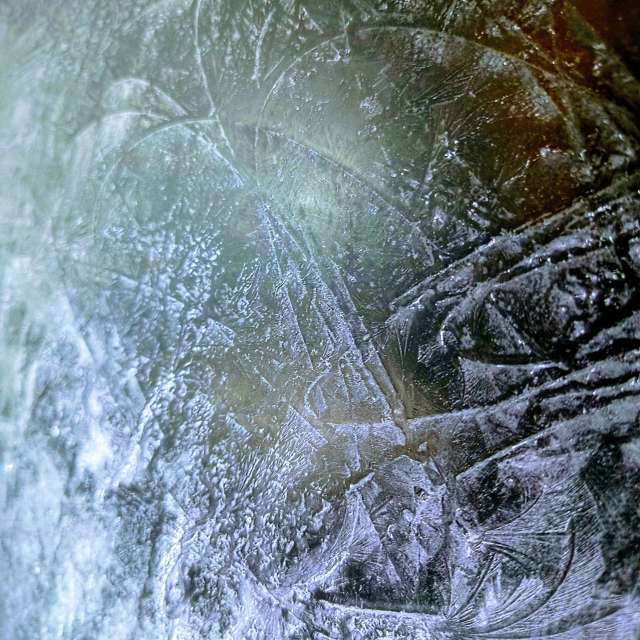 Bear. Weather forecasts with beautiful photos by EZ1 Photos in World