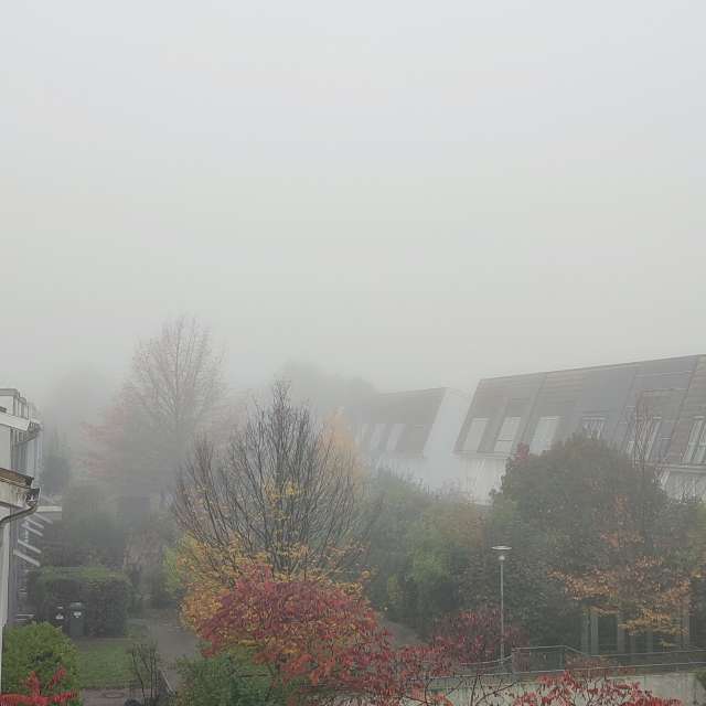 Railway. Weather forecasts with beautiful photos by Tercis Photos in Ettlingen