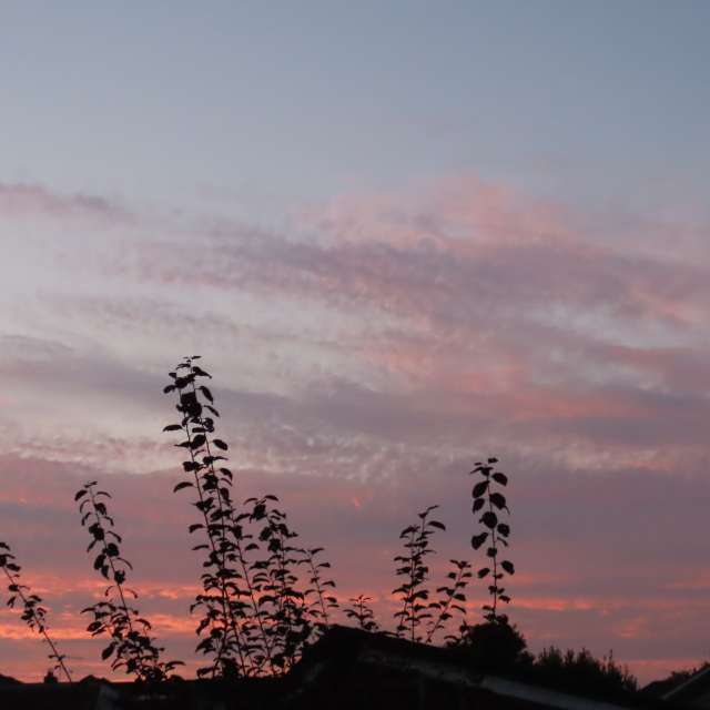 Прогнозы погоды с чудесными фотографиями, сделанными Lolli