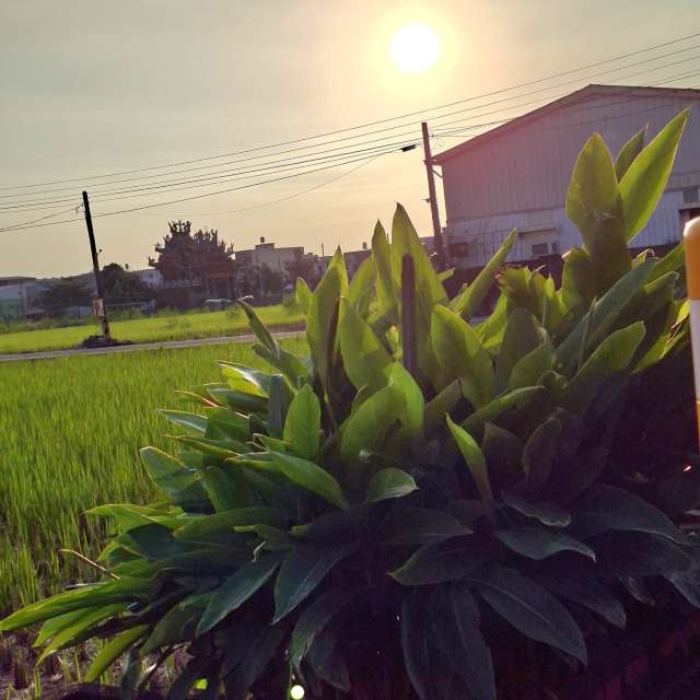 Fotos del Paraguas. Pronósticos del tiempo con hermosas fotos de Wen-ya Huang en Kaohsiung City