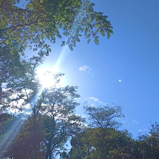 Weather forecasts with beautiful photos by Tadeo_Vzla