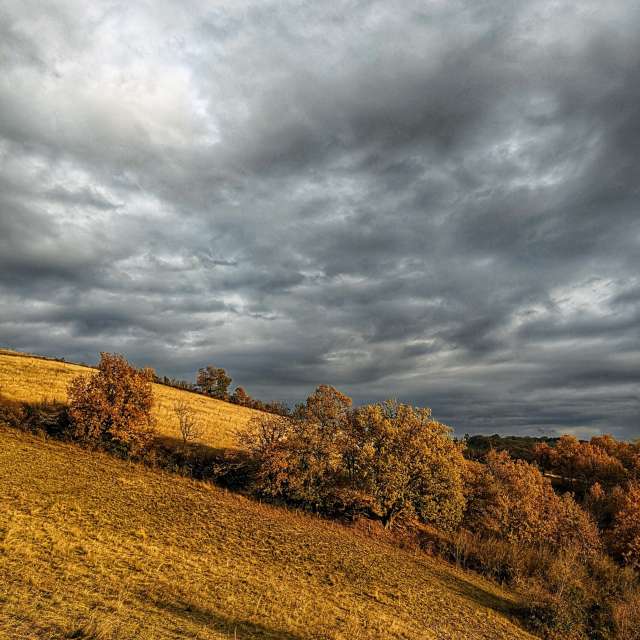 Fotos Abordado. Previsões do tempo com lindas fotos de Juniper-du-bayou em Latour