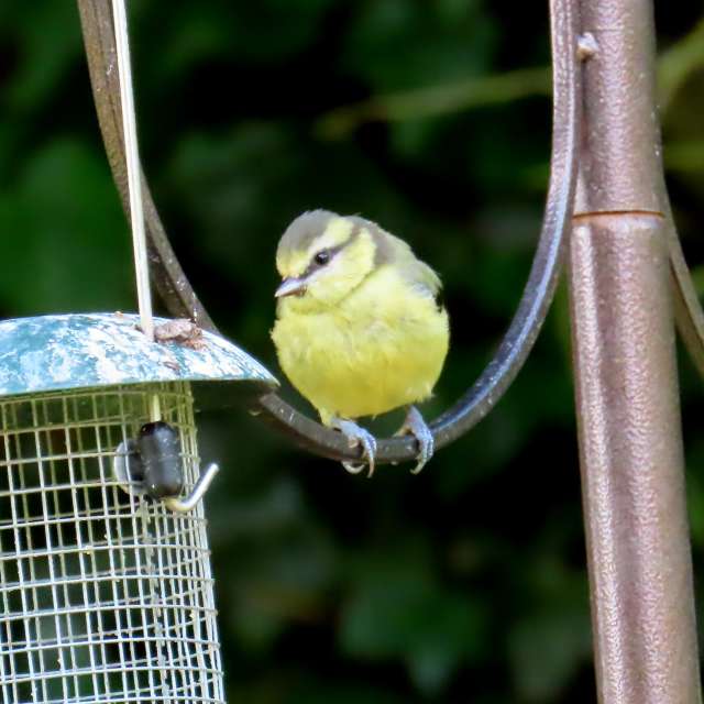 Прогнозы погоды с чудесными фотографиями, сделанными Lolli