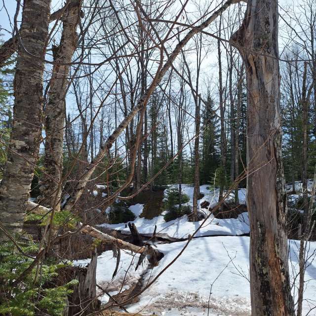 Weather forecasts with beautiful photos by NorthernMichiganBeauty
